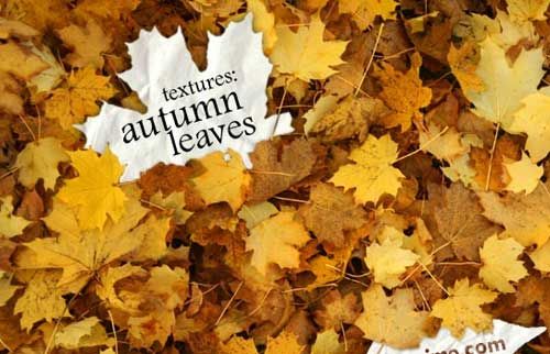 150種類の秋を感じる背景 テクスチャ素材 Materialandex
