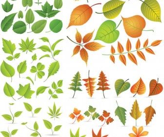 様々な秋を彩る葉っぱ ベクター素材 Materialandex